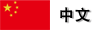 中文版